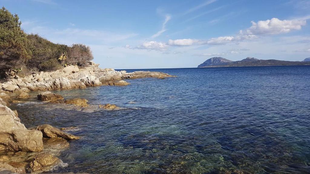 Appartamento A Porto Rotondo - Villaggio Punta Volpe - Iun S5393 외부 사진