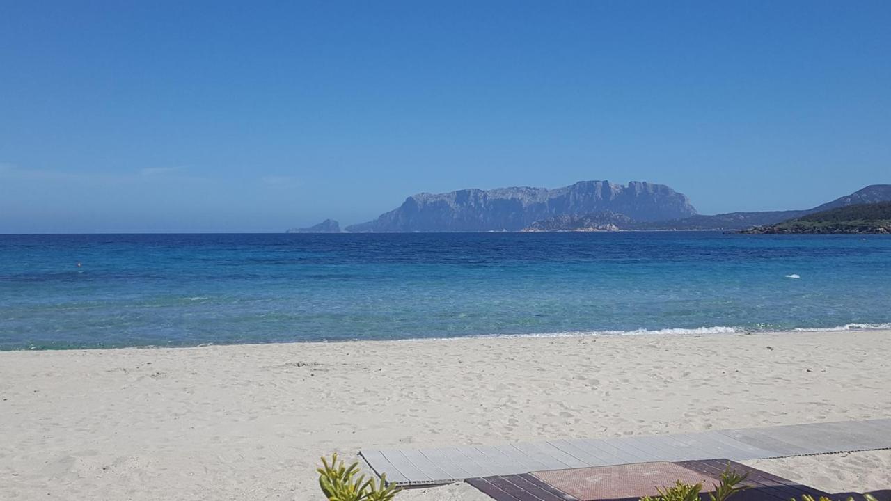 Appartamento A Porto Rotondo - Villaggio Punta Volpe - Iun S5393 외부 사진